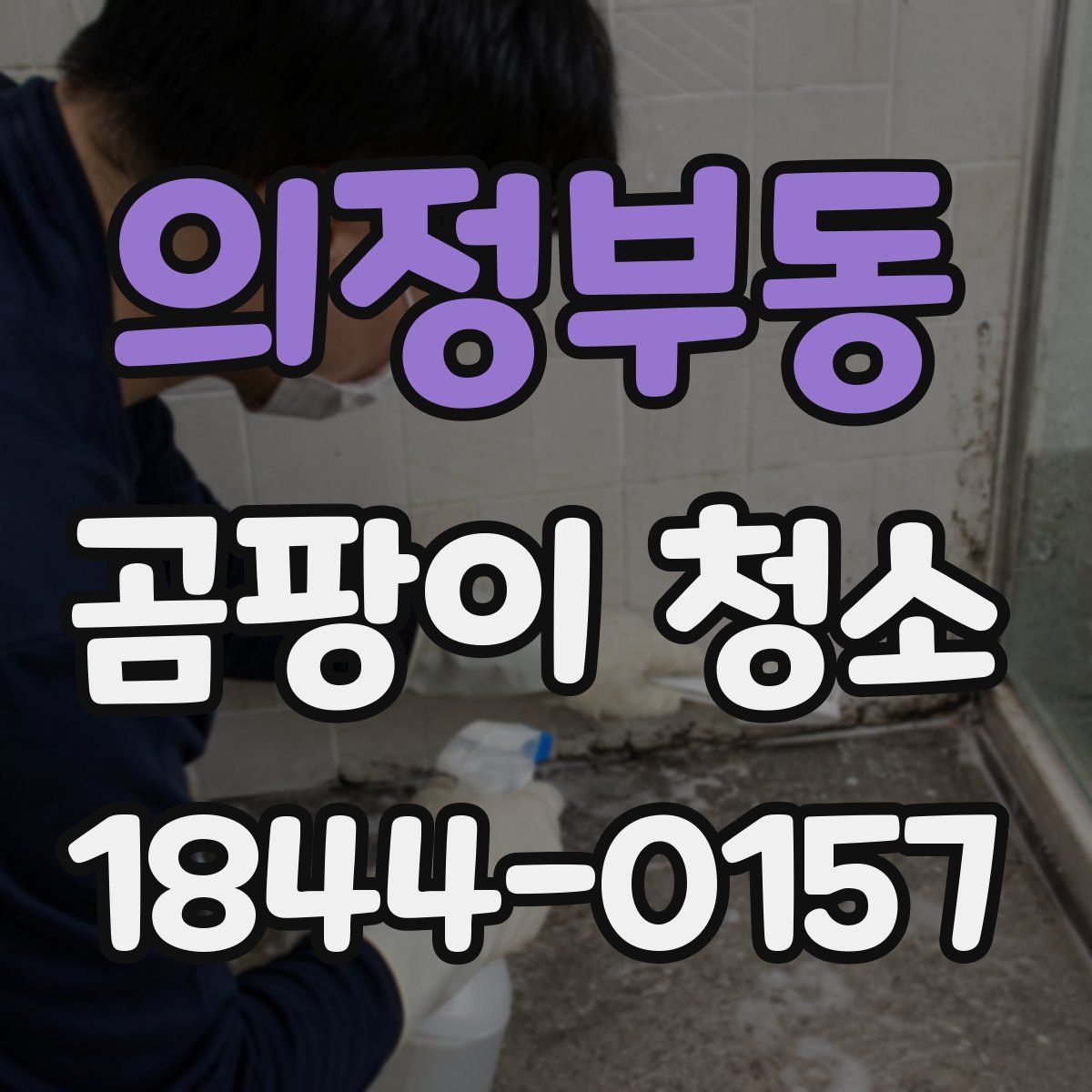 의정부동 곰팡이 청소