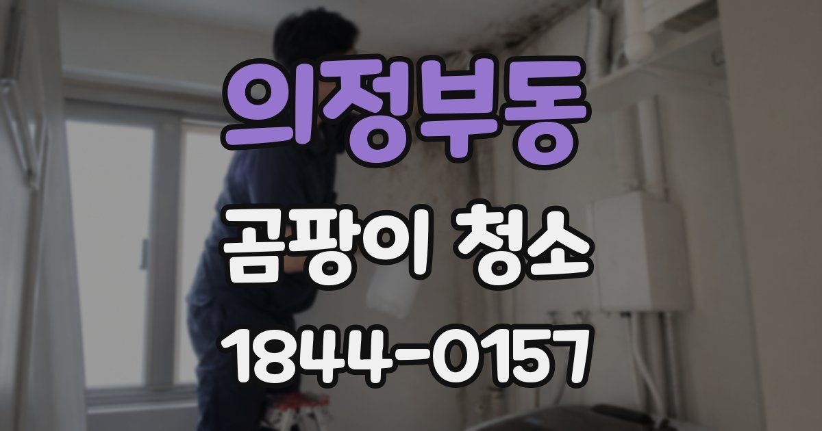 의정부동 곰팡이 청소