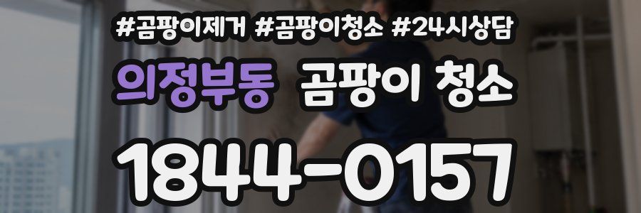 의정부동 곰팡이 청소