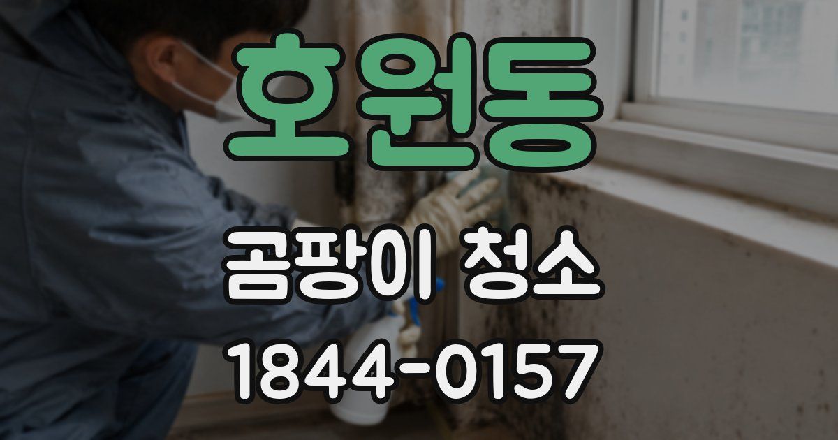 호원동 곰팡이 청소