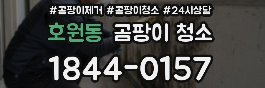 호원동 곰팡이 청소