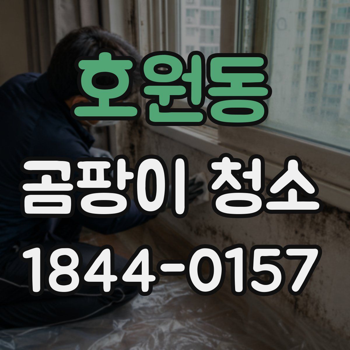 호원동 곰팡이 청소
