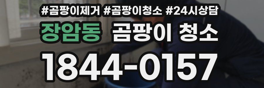장암동 곰팡이 청소