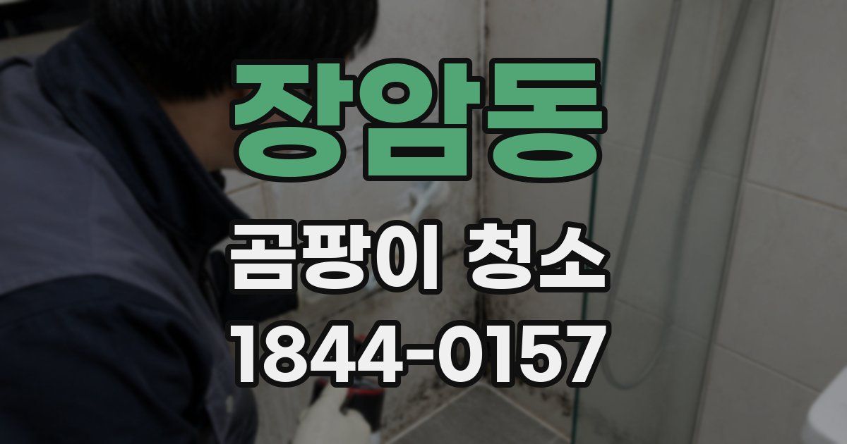장암동 곰팡이 청소