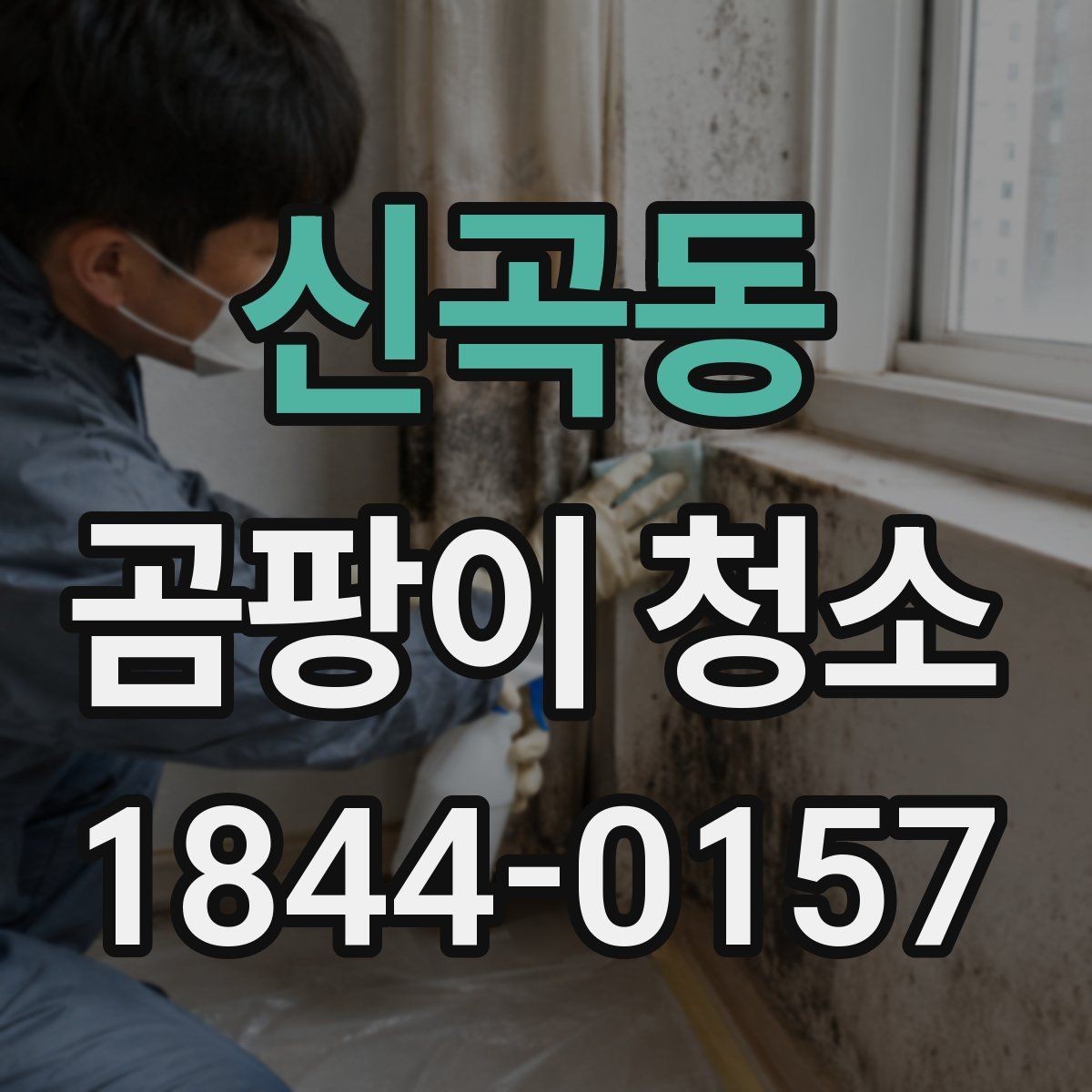 신곡동 곰팡이 청소 곰팡이 종류에 따라 달라지는 부위별 접근