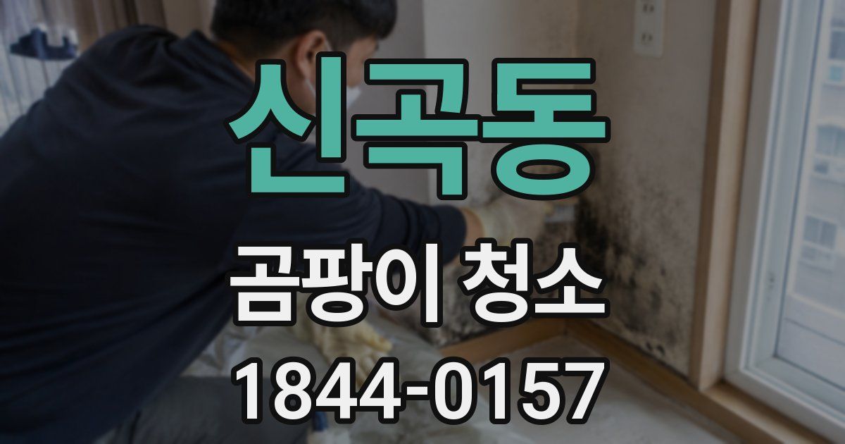 신곡동 곰팡이 청소