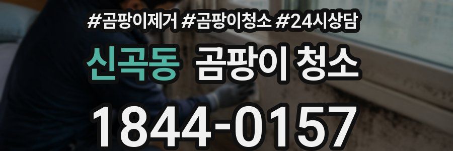신곡동 곰팡이 청소