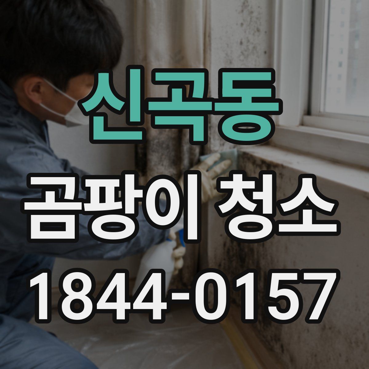 신곡동 곰팡이 청소