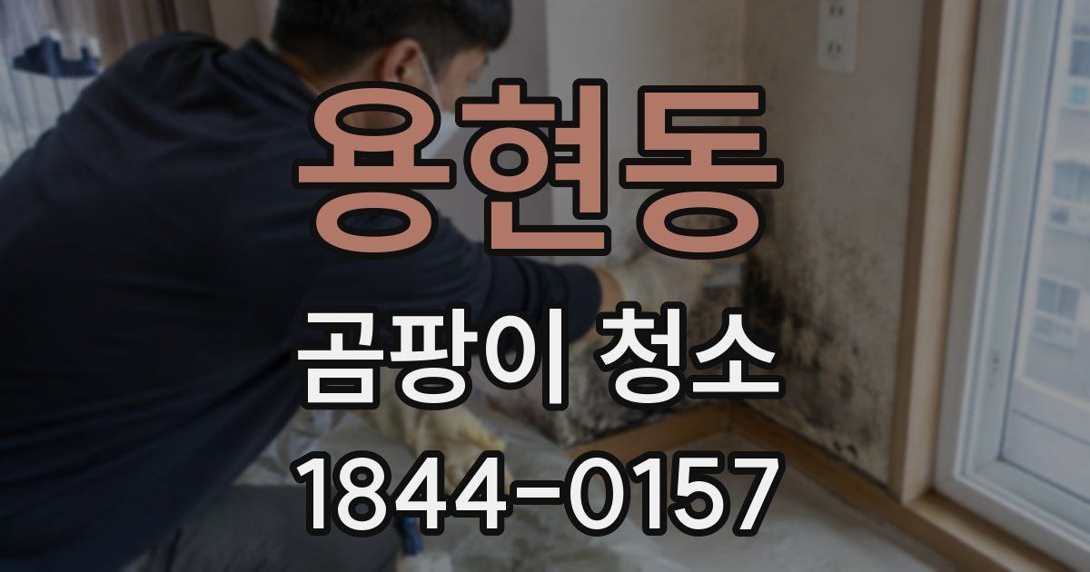 용현동 곰팡이 청소
