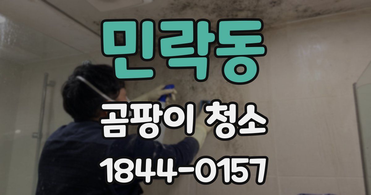 민락동 곰팡이 청소