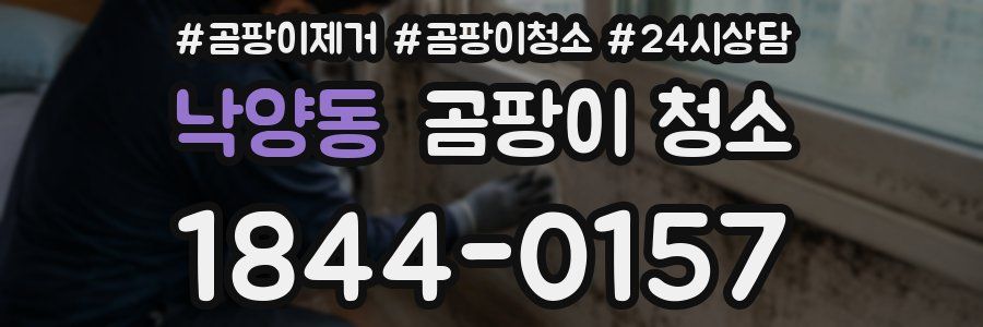낙양동 곰팡이 청소