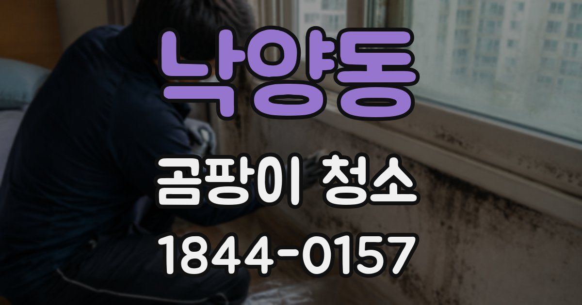 낙양동 곰팡이 청소