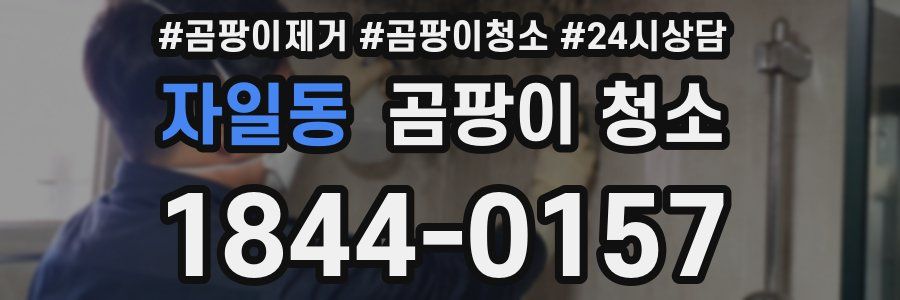 자일동 곰팡이 청소