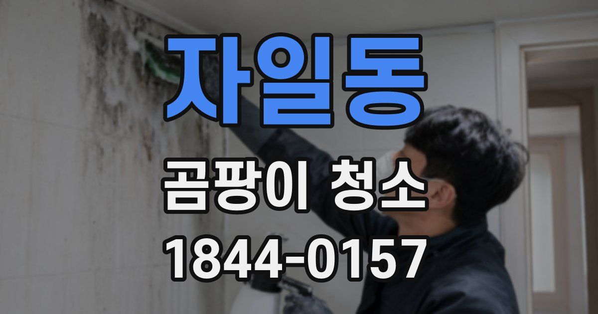 자일동 곰팡이 청소