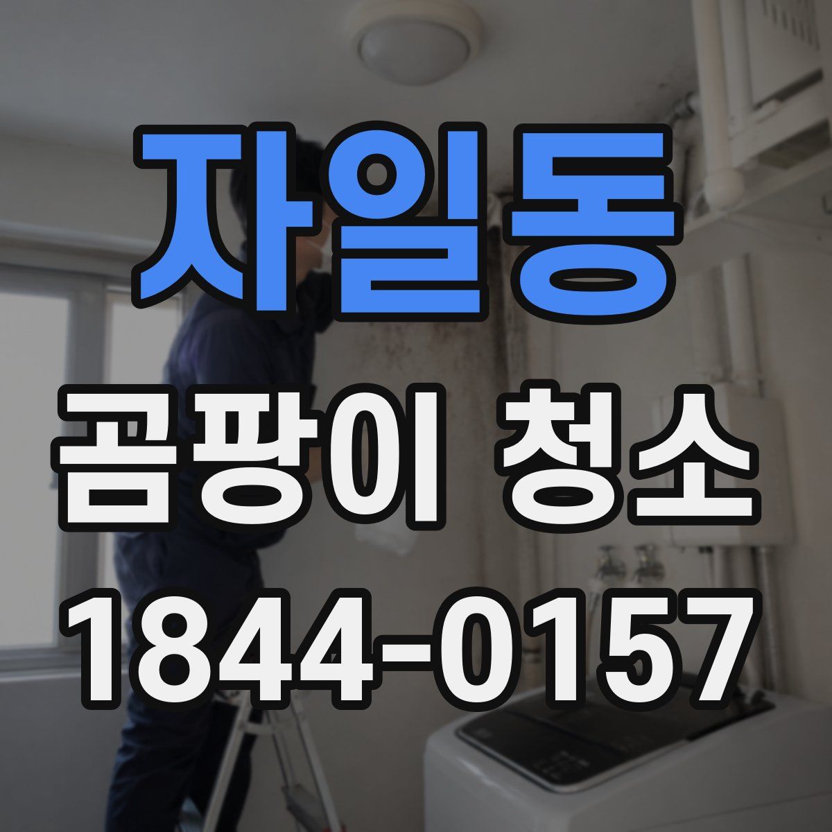 자일동 곰팡이 청소