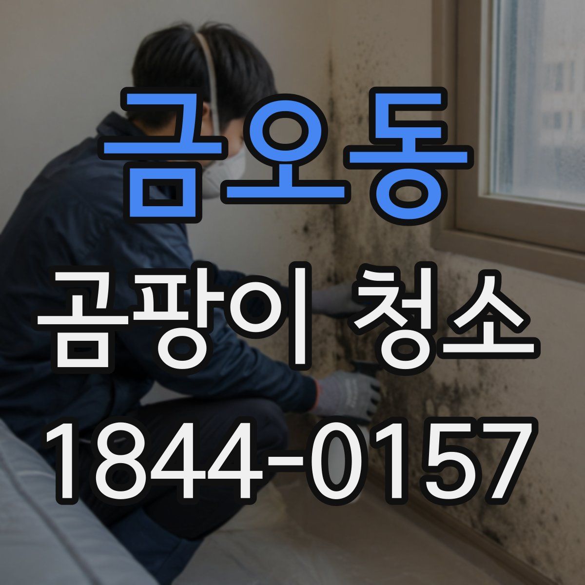 금오동 곰팡이 청소