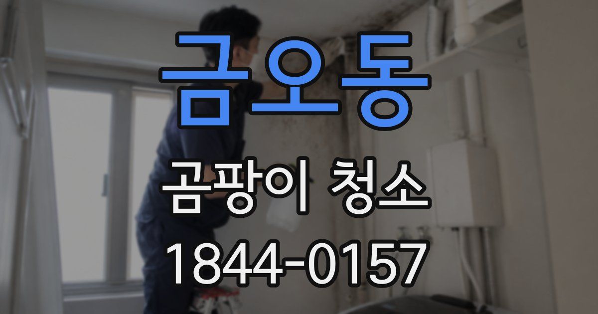 금오동 곰팡이 청소