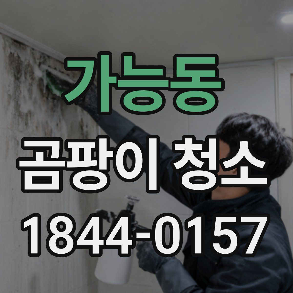 가능동 곰팡이 청소