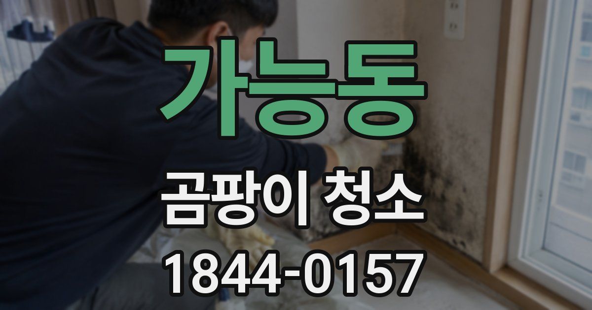 가능동 곰팡이 청소