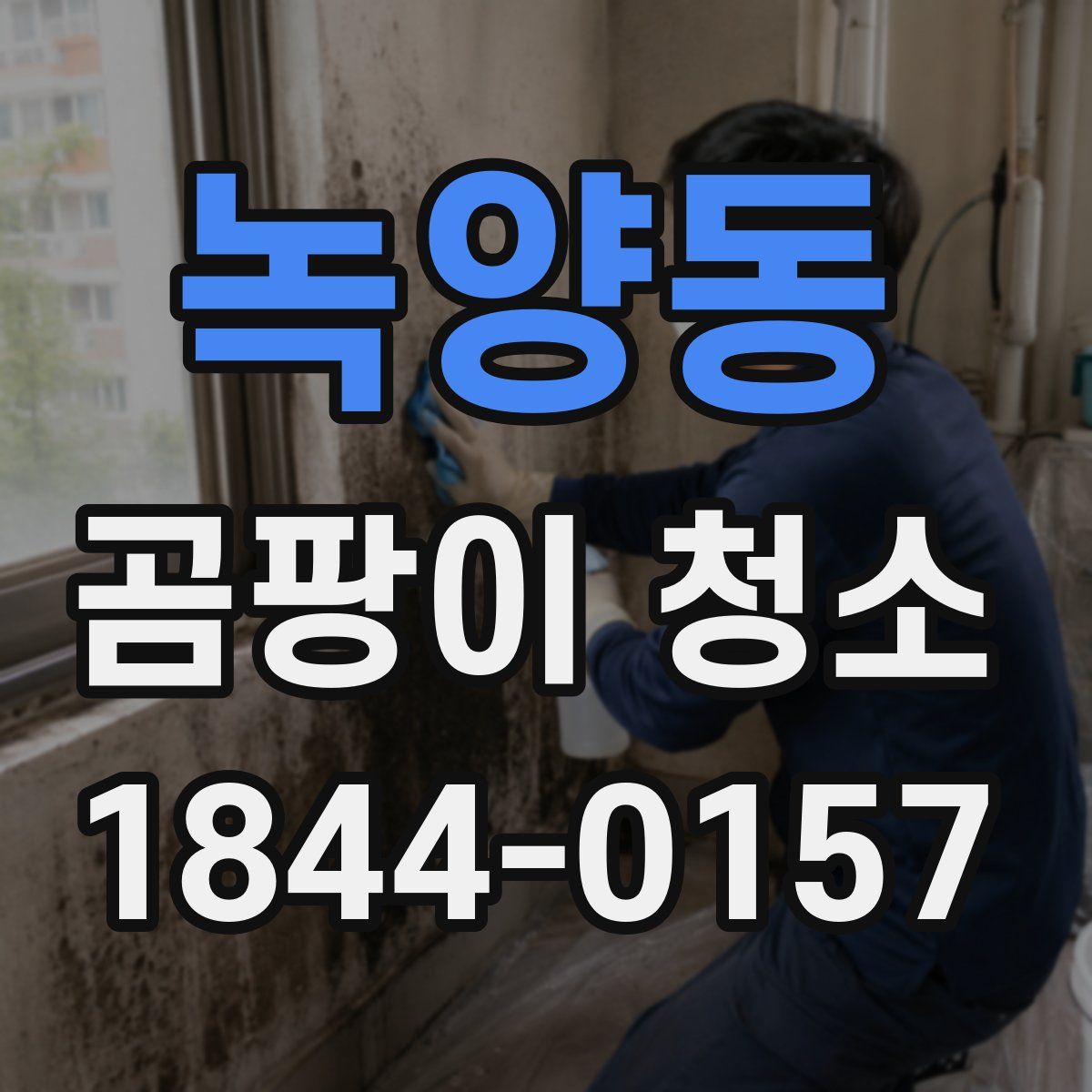 녹양동 곰팡이 청소