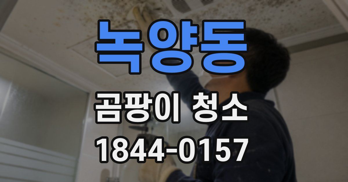 녹양동 곰팡이 청소