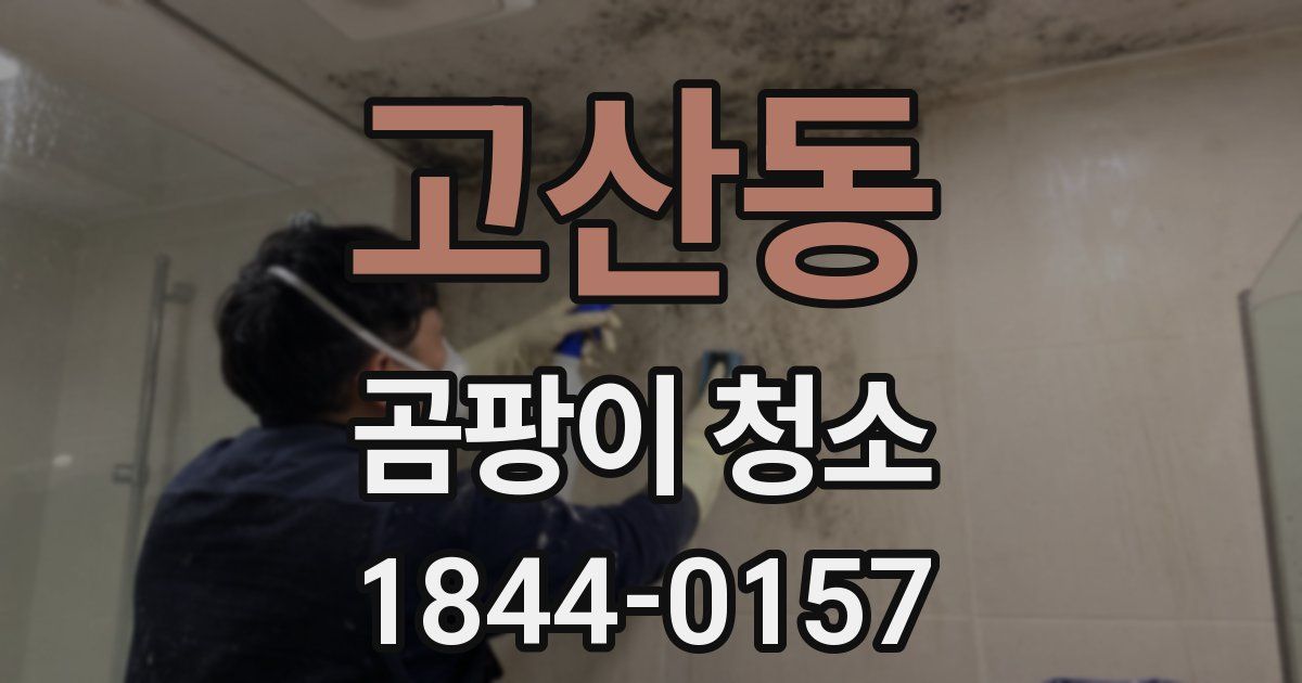 고산동 곰팡이 청소