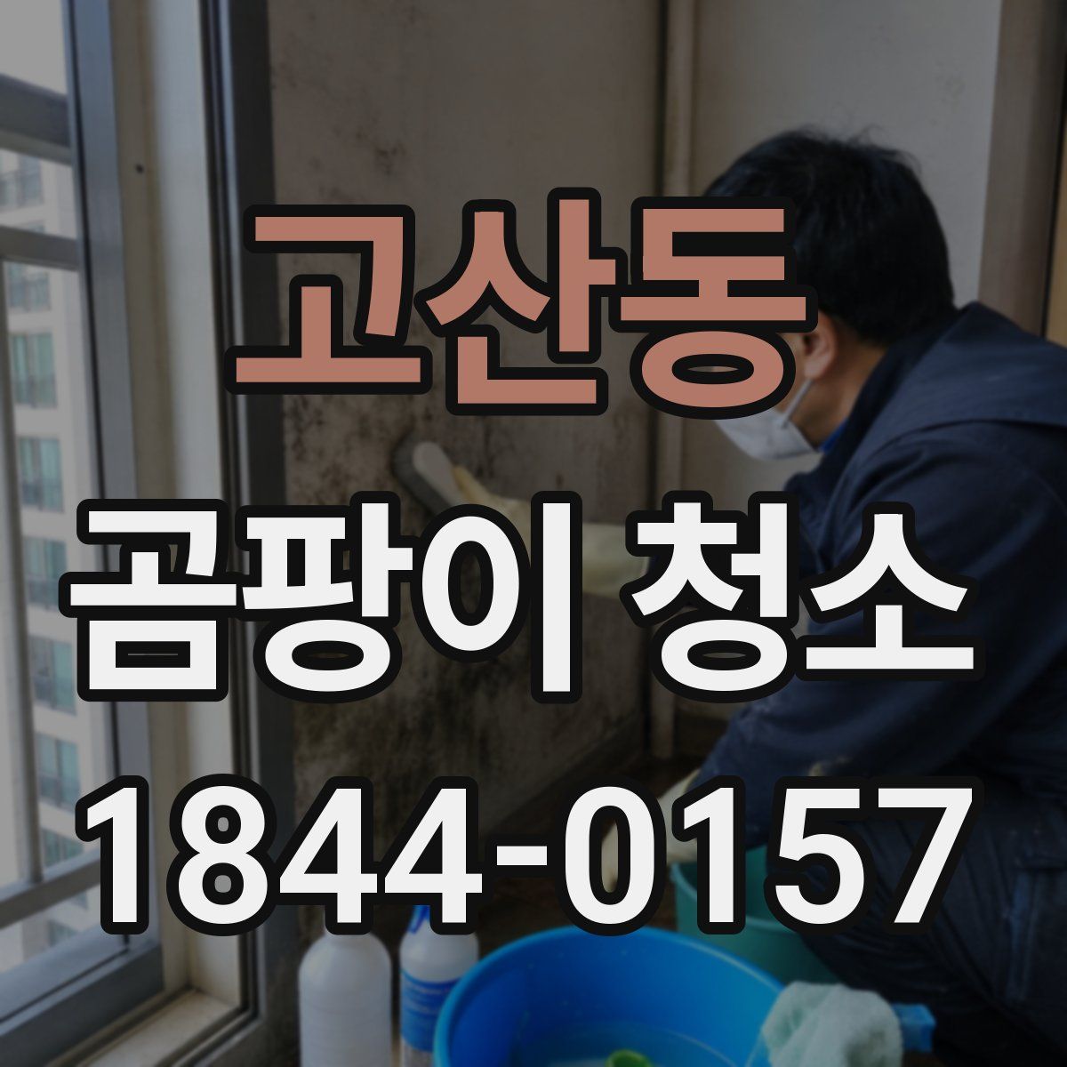 고산동 곰팡이 청소