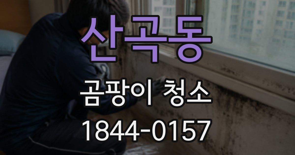 산곡동 곰팡이 청소