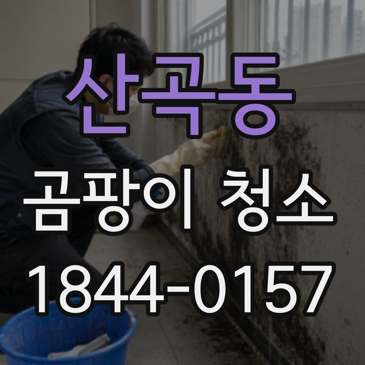 산곡동 곰팡이 청소