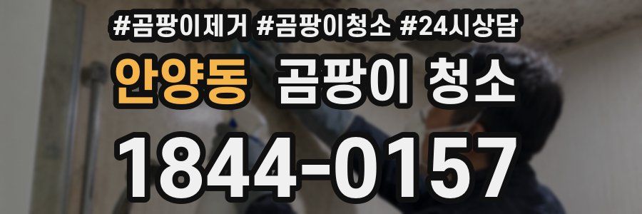 안양동 곰팡이 청소