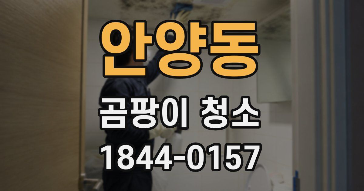 안양동 곰팡이 청소