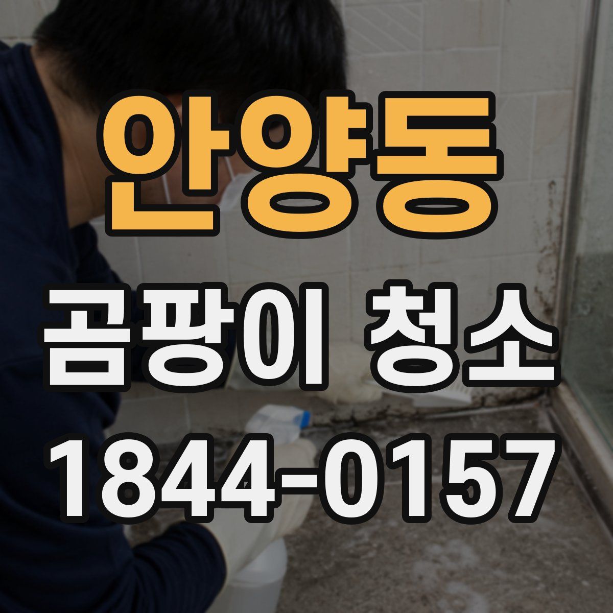 안양동 곰팡이 청소