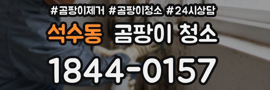 석수동 곰팡이 청소