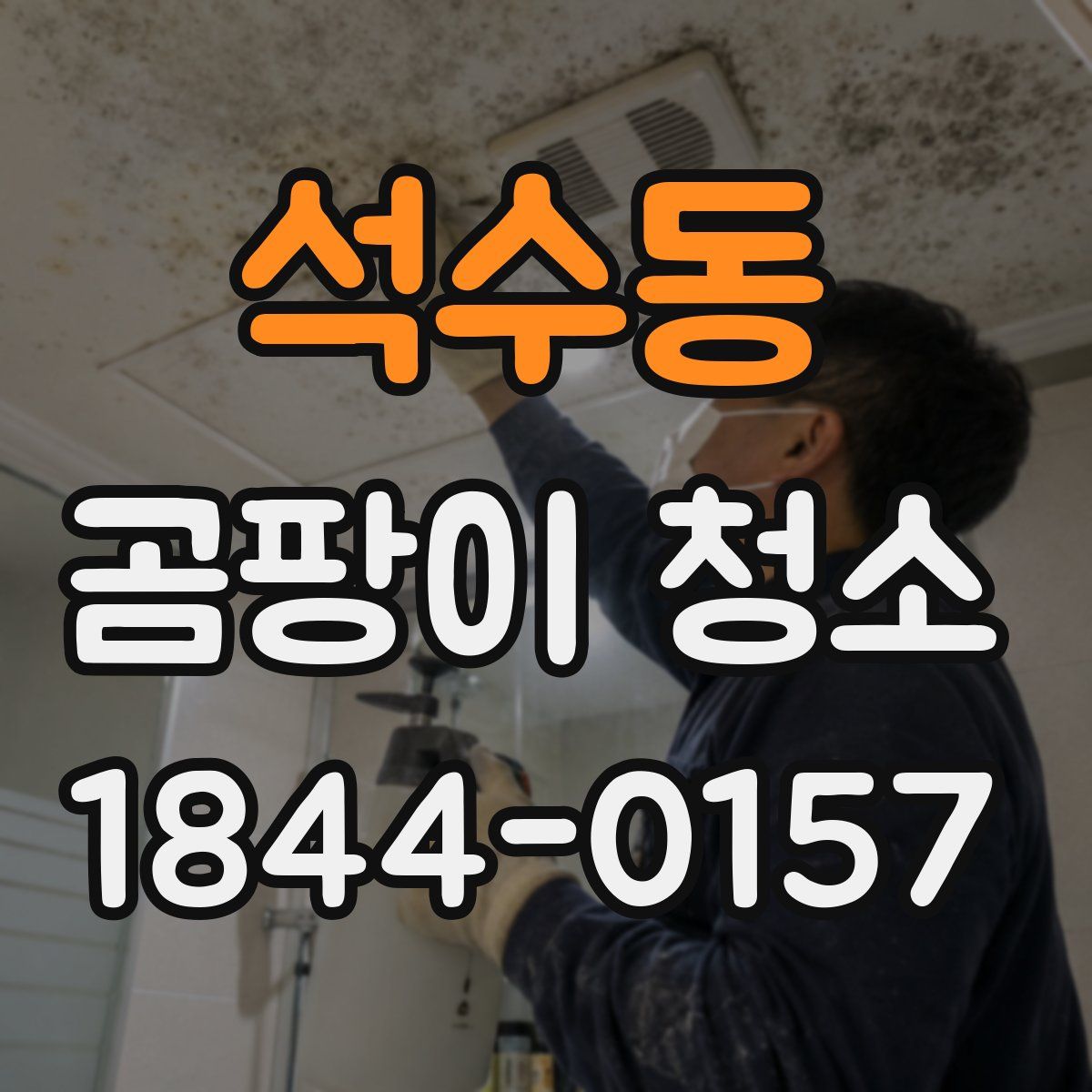 석수동 곰팡이 청소