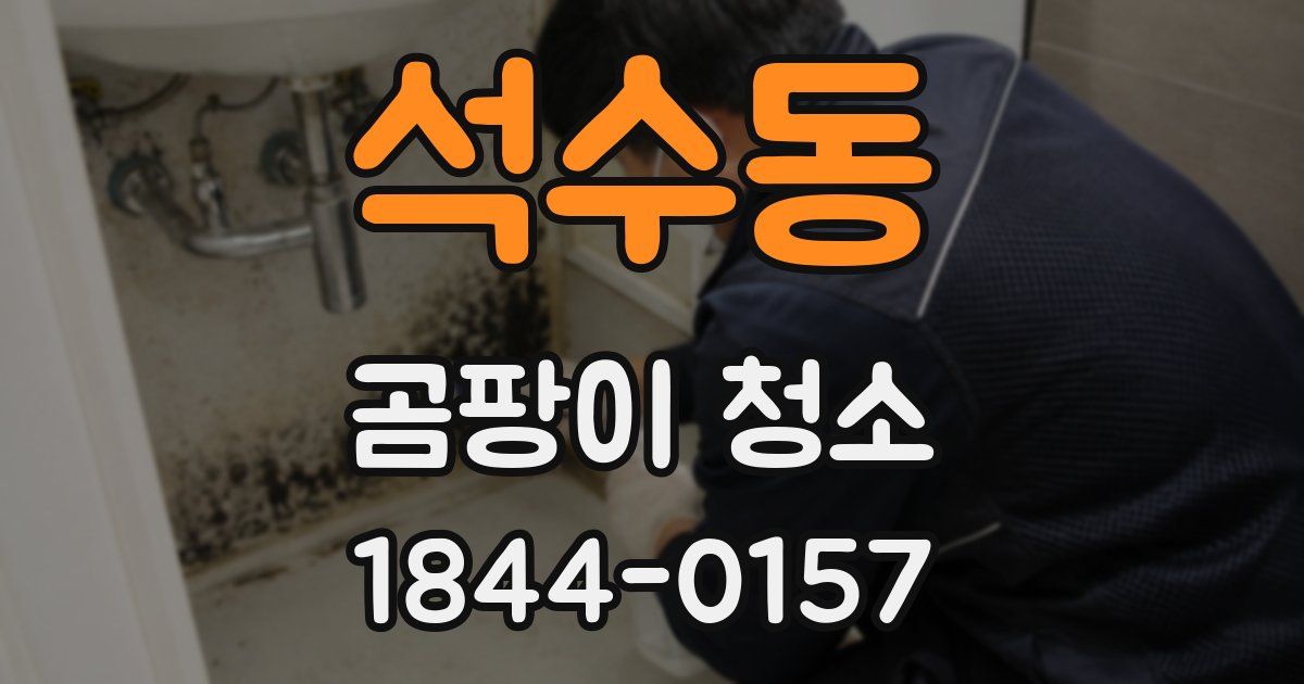 석수동 곰팡이 청소