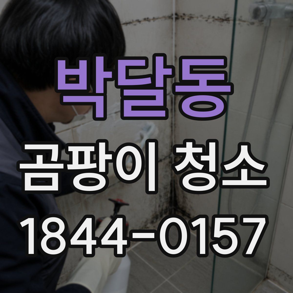 박달동 곰팡이 청소