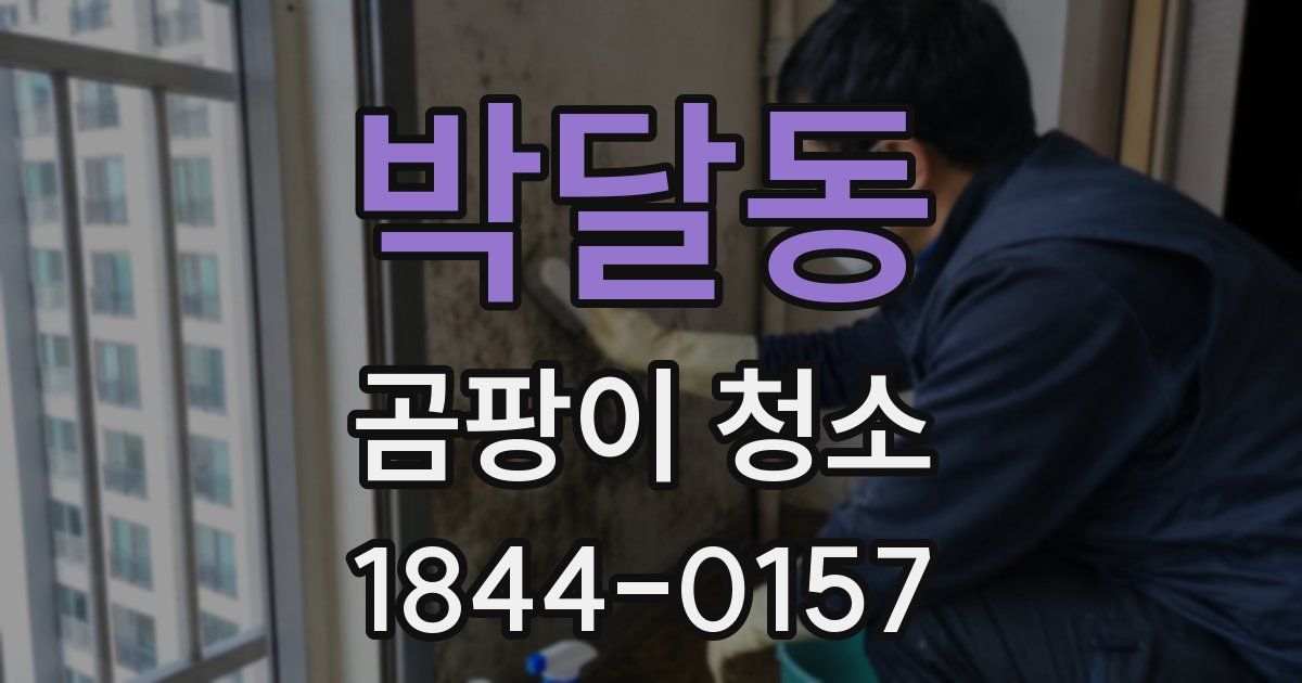 박달동 곰팡이 청소