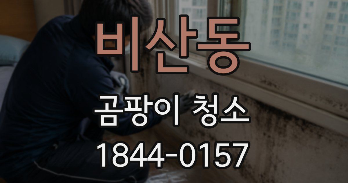 비산동 곰팡이 청소