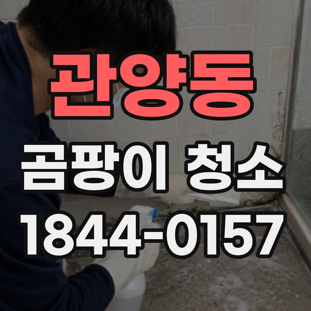 관양동 곰팡이 청소