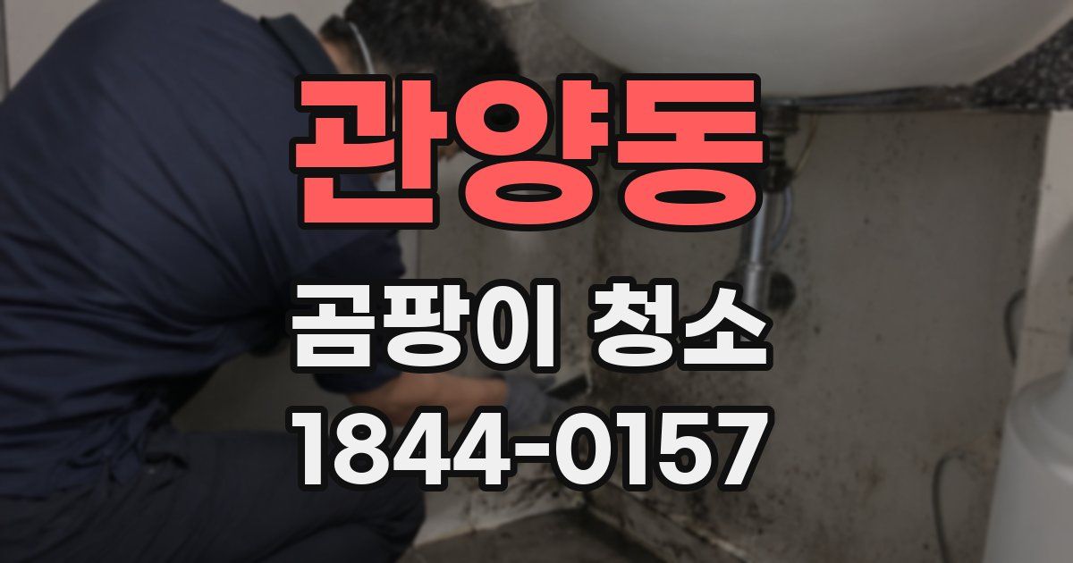 관양동 곰팡이 청소