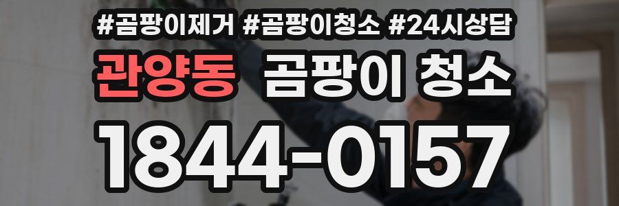 관양동 곰팡이 청소