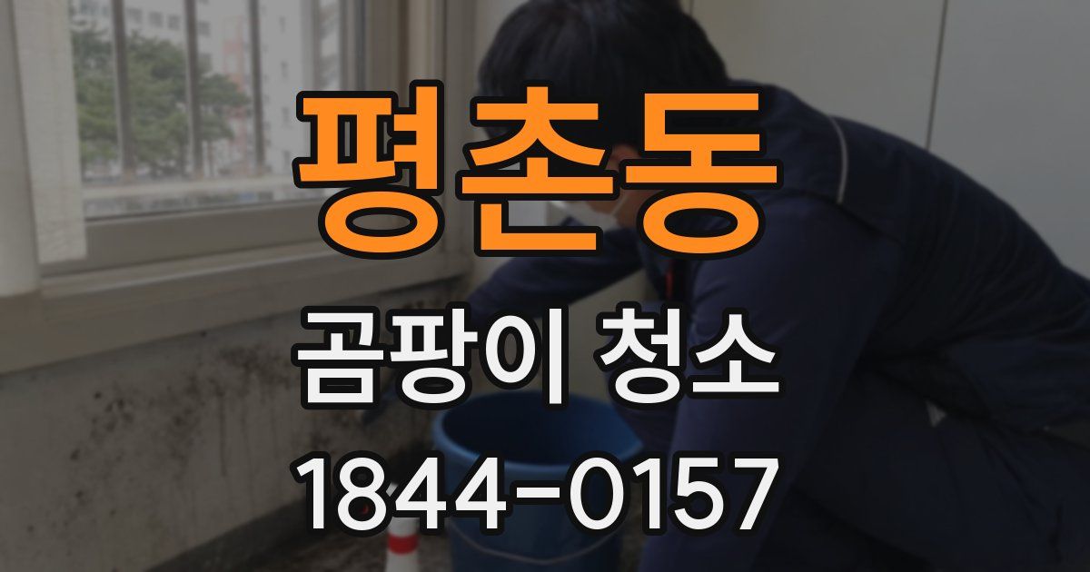 평촌동 곰팡이 청소
