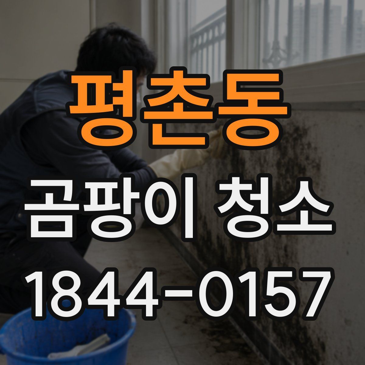 평촌동 곰팡이 청소
