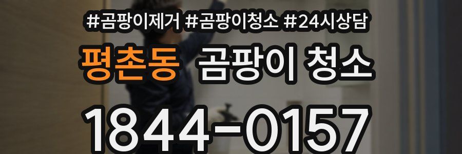 평촌동 곰팡이 청소