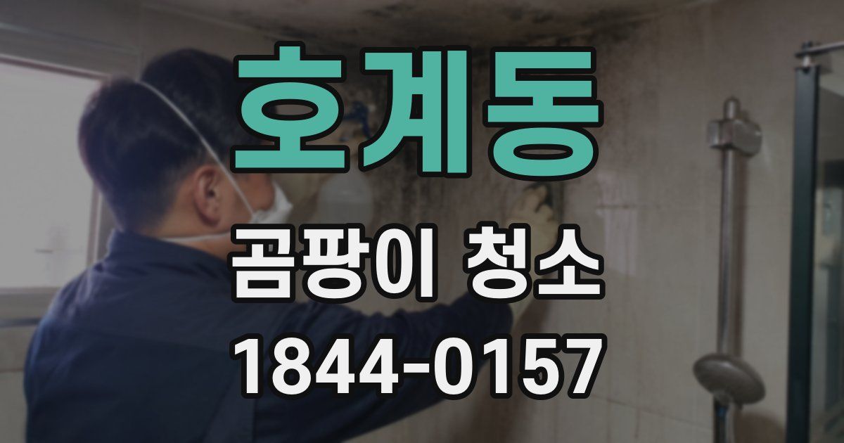 호계동 곰팡이 청소