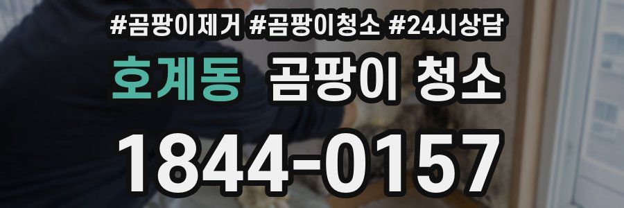 호계동 곰팡이 청소