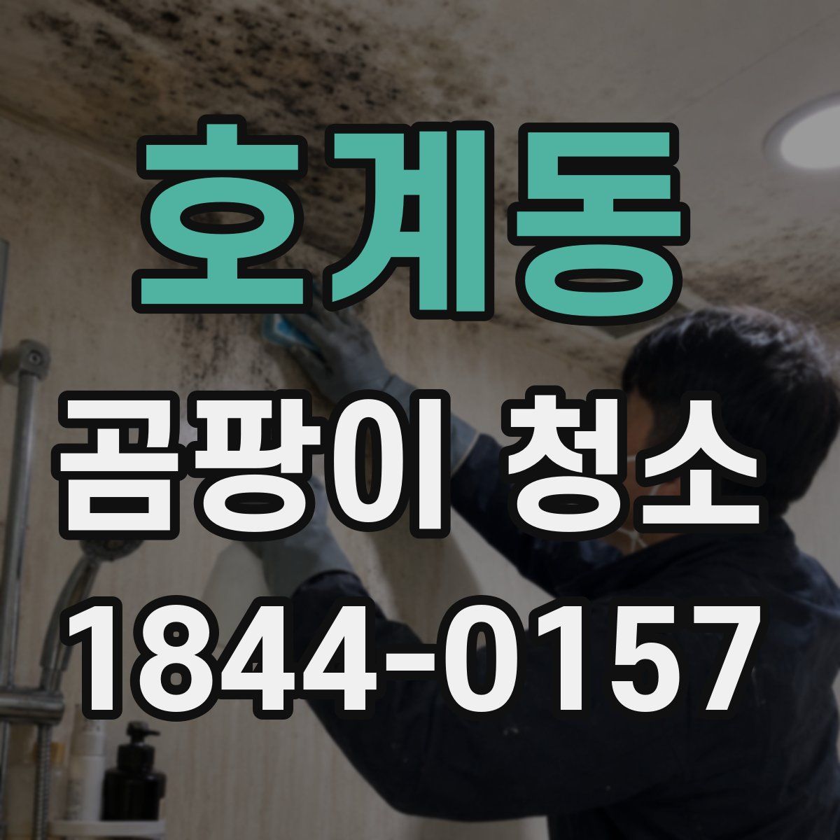 호계동 곰팡이 청소