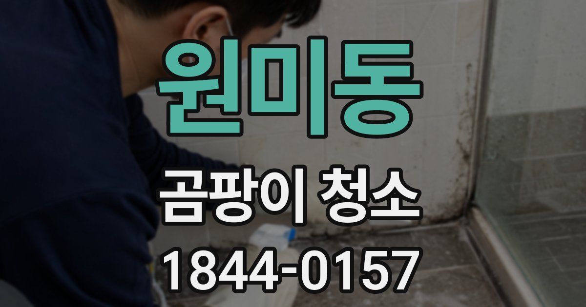 원미동 곰팡이 청소