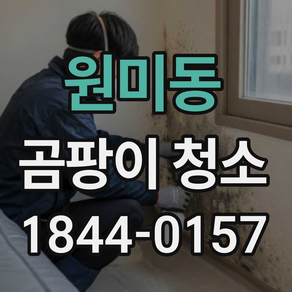 원미동 곰팡이 청소