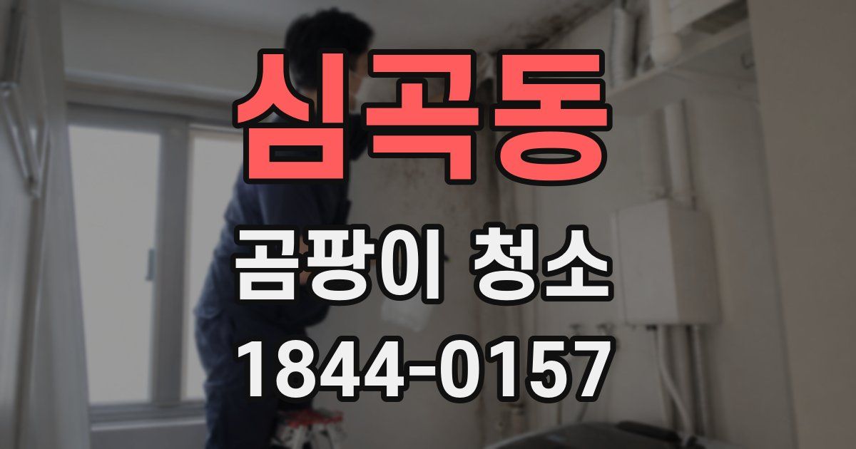심곡동 곰팡이 청소